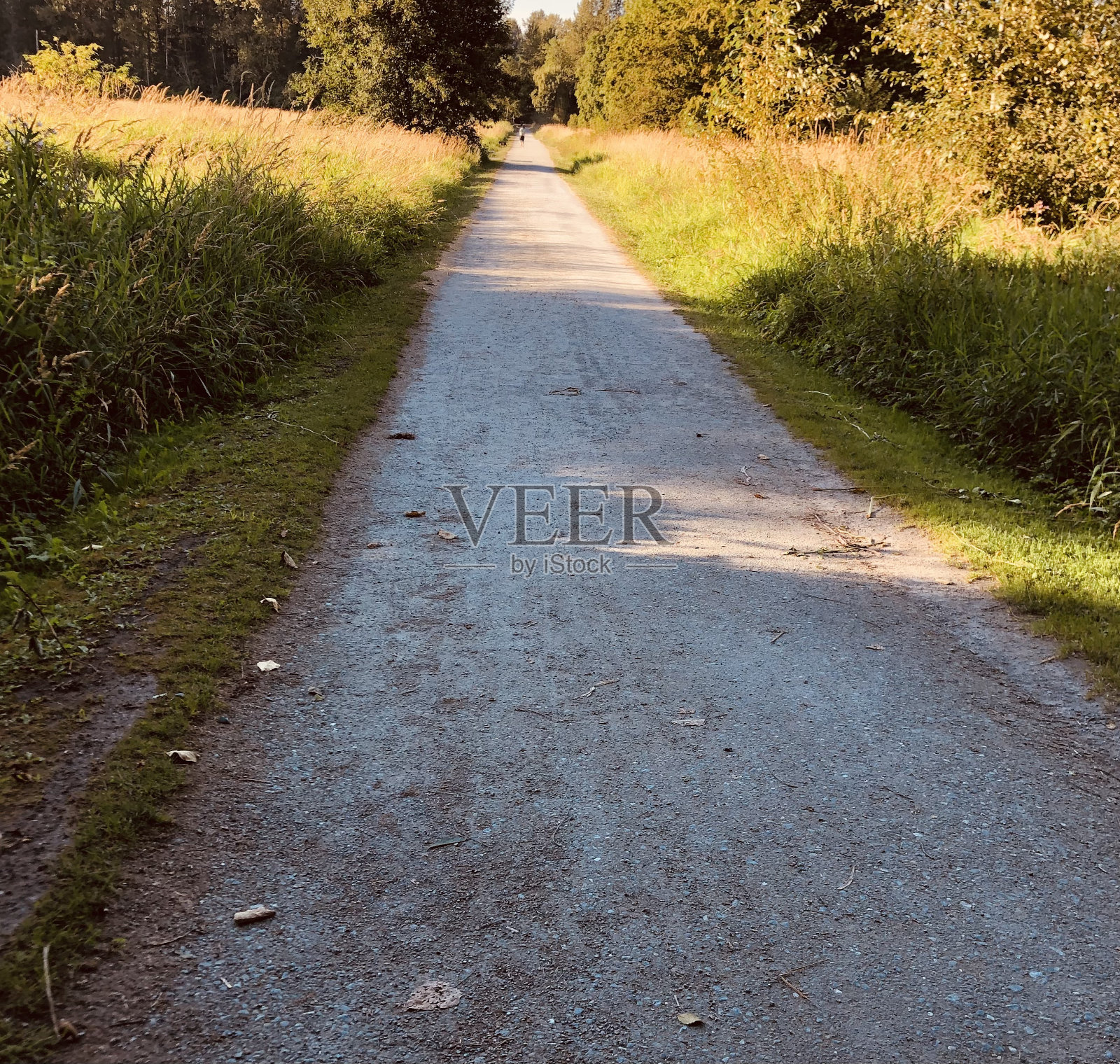 小径照片摄影图片