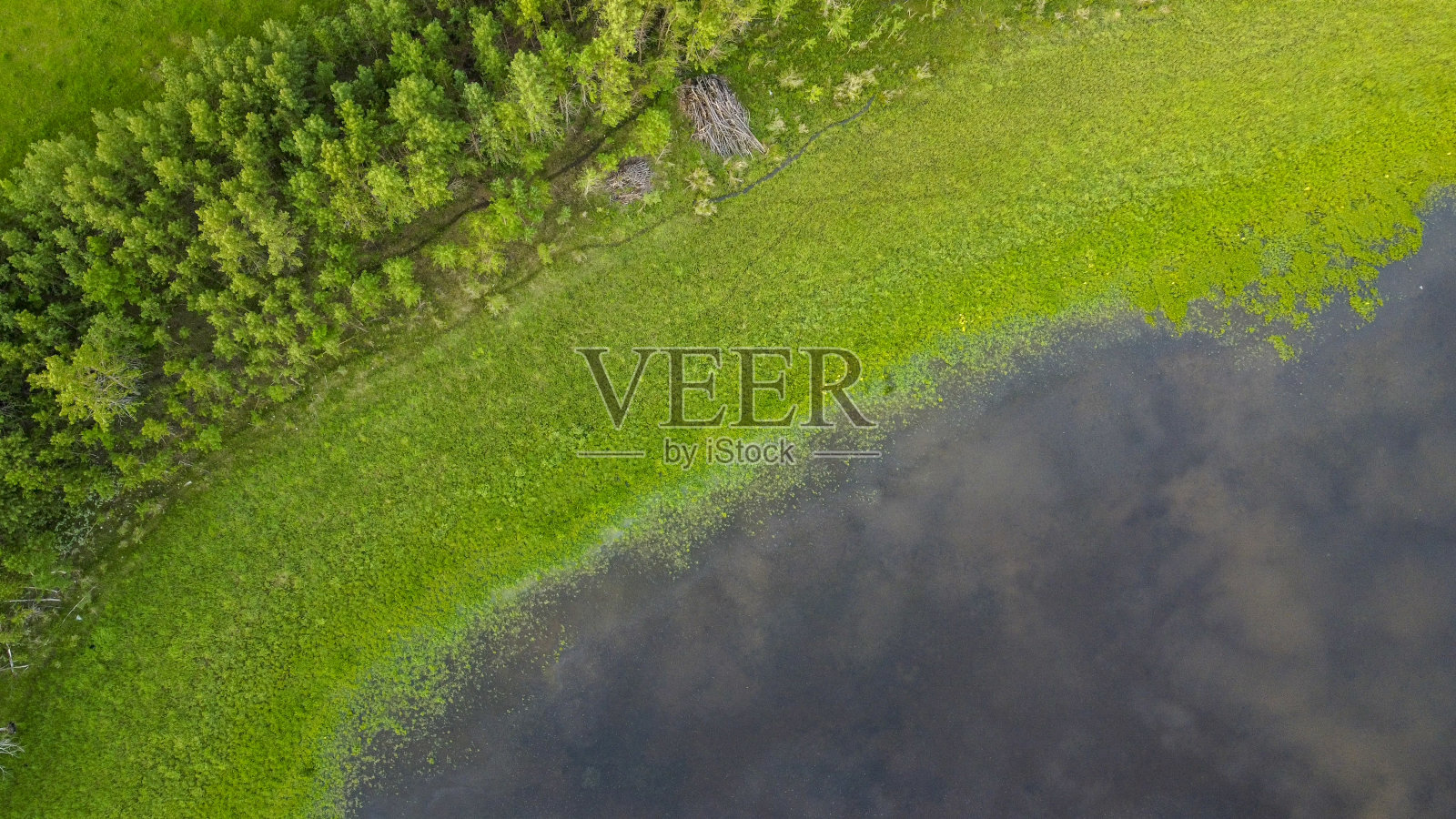 鸟瞰绿色草地和淡水池塘照片摄影图片