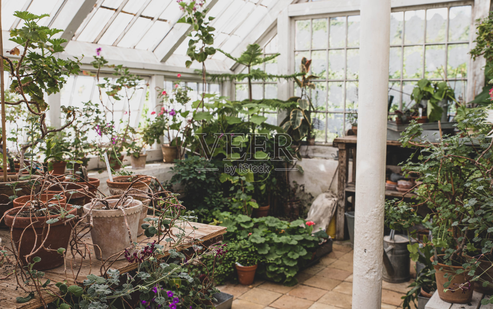 美丽古老的丹麦温室照片摄影图片