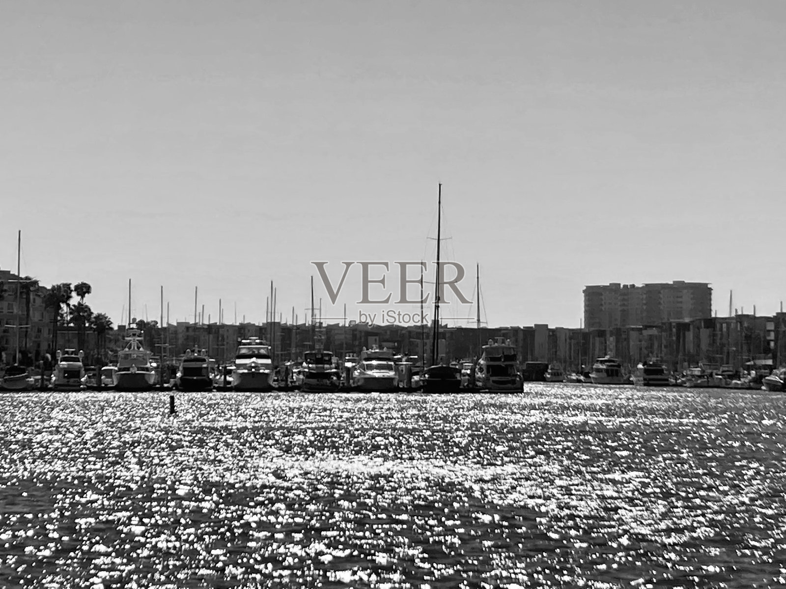 玛丽娜黑照片摄影图片