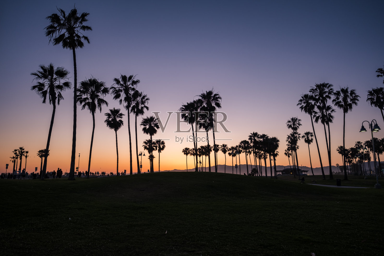 威尼斯海滩照片摄影图片