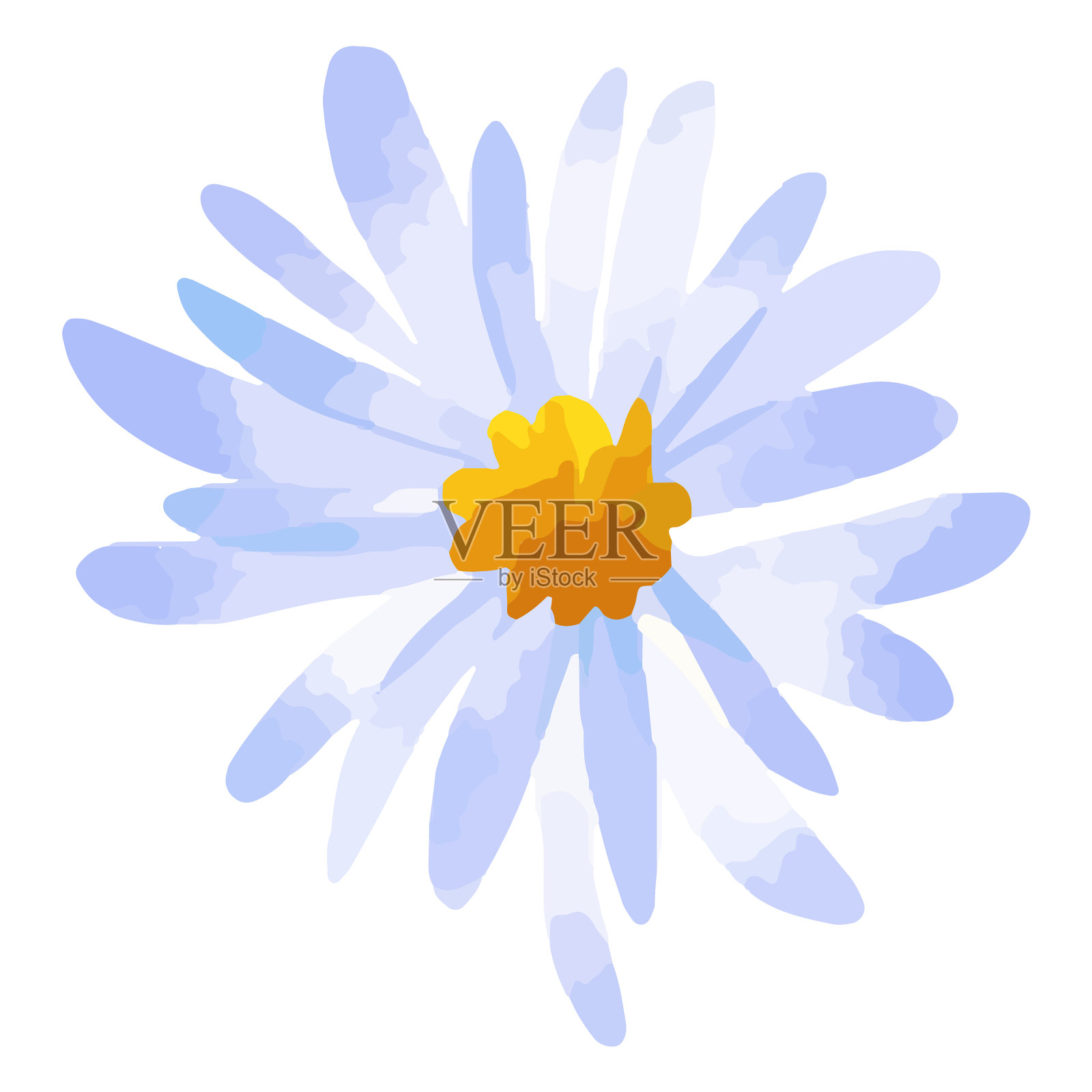 紫雏菊花水彩画质量高设计元素图片