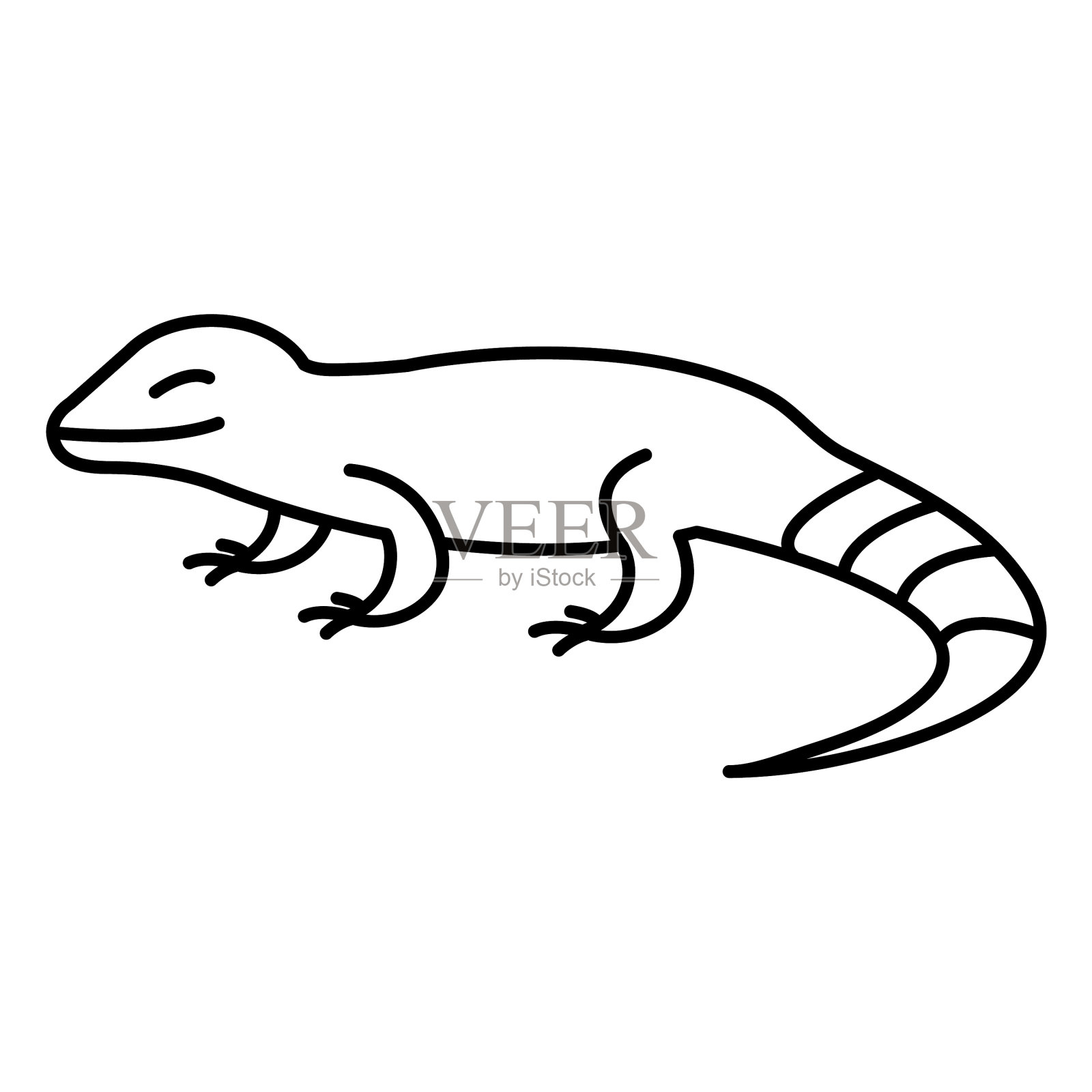 蜥蜴动物线条艺术质量高设计元素图片