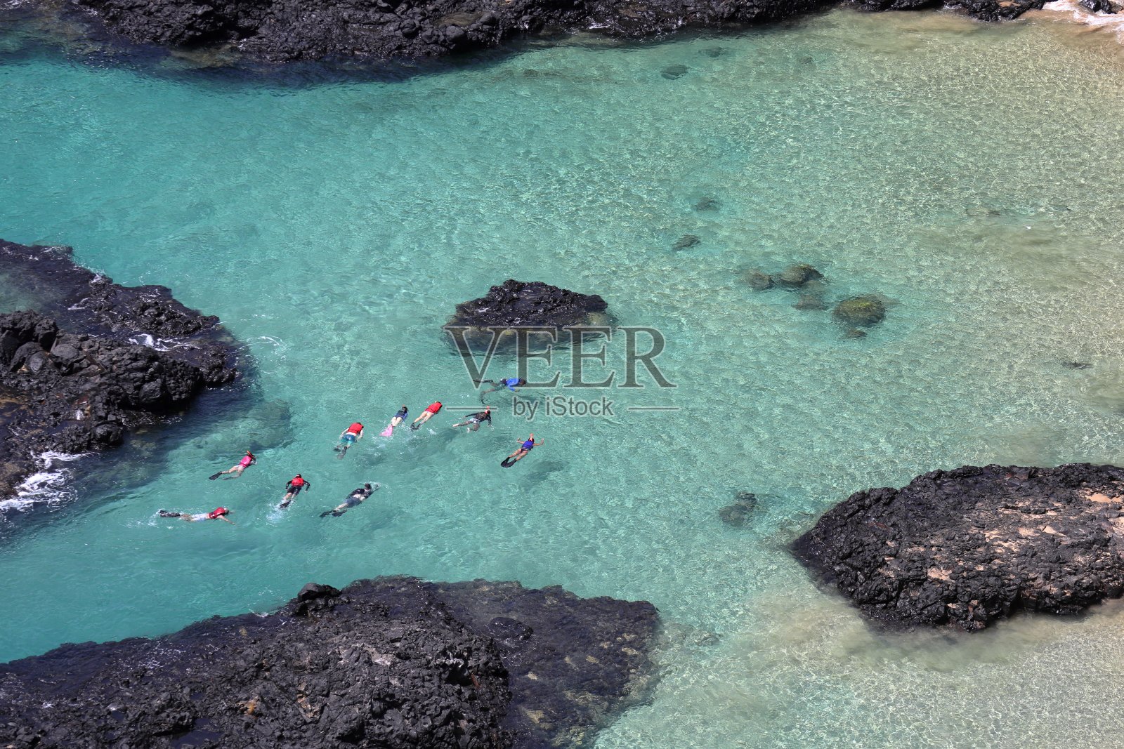 一群人在巴西伯南布哥海岸的费尔南多-迪诺罗尼亚偏远天堂岛的猪湾里浮潜。照片摄影图片