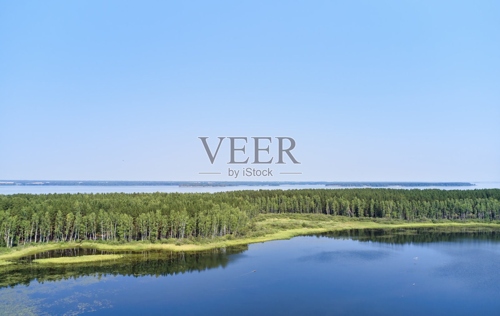 奥布水库岸边附近的卡拉坎斯基松林的森林沼泽湖的航拍照片。照片摄影图片