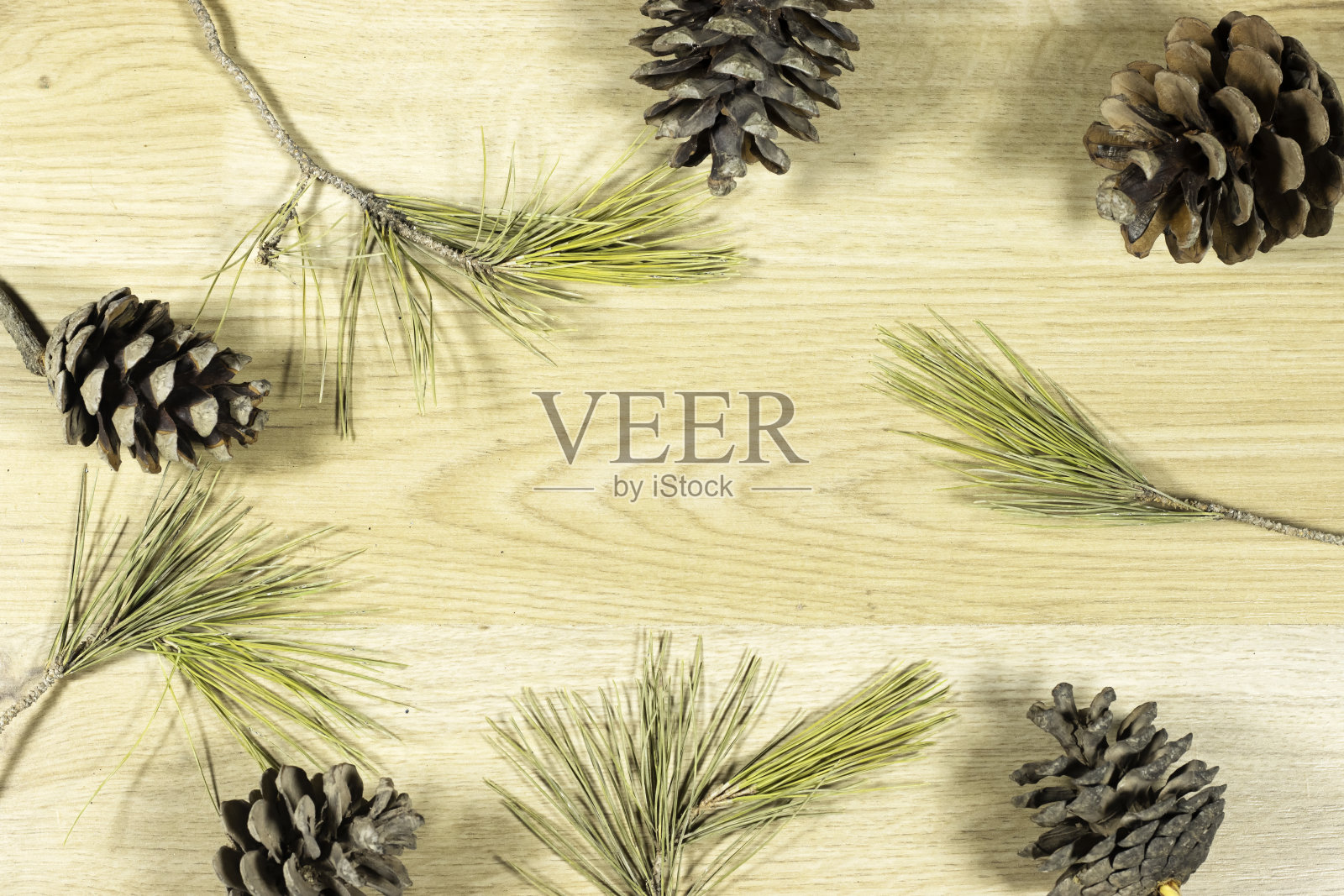 松果和树叶的拷贝空间为您的文本在木桌子上照片摄影图片