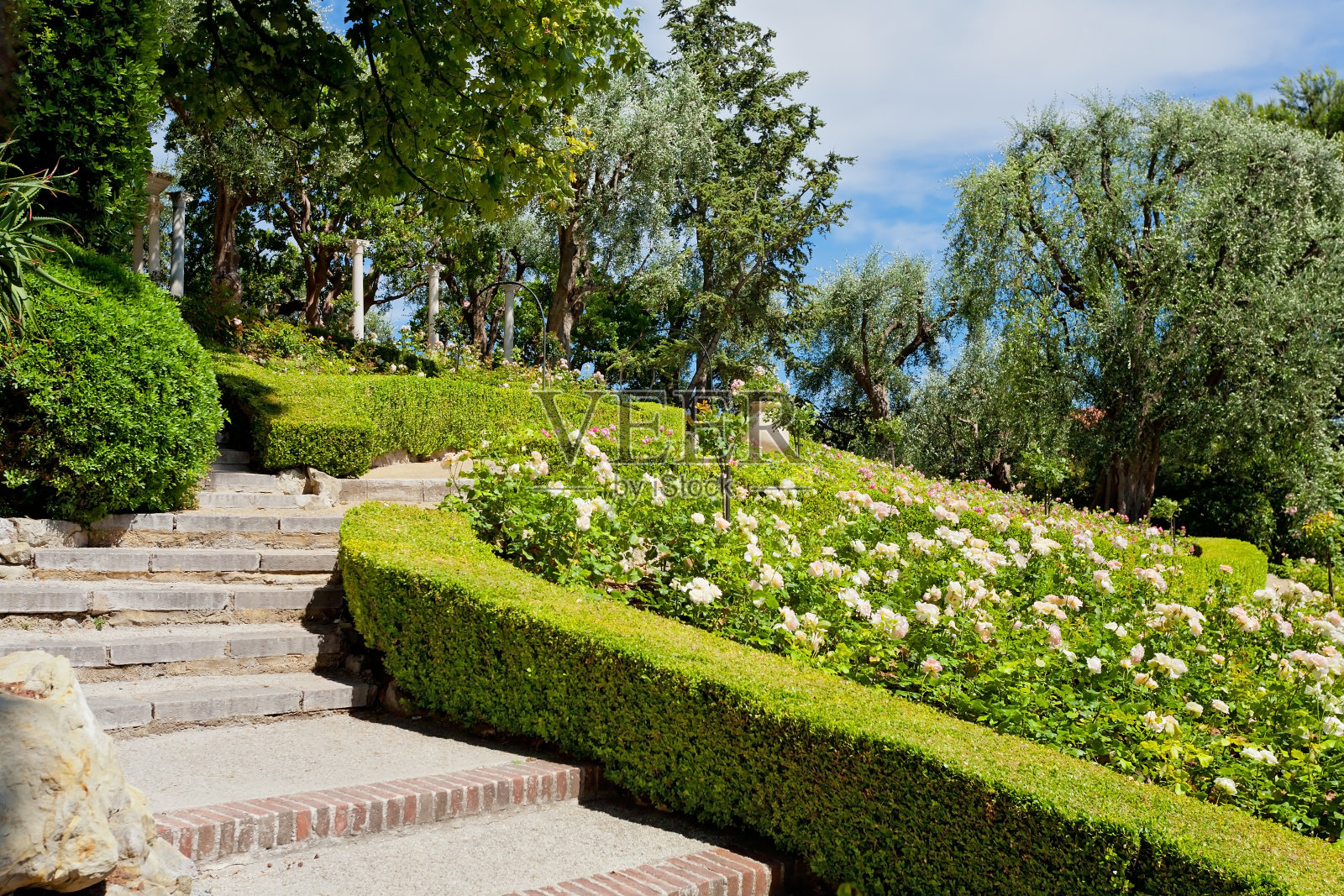 美丽的异国花园在法国里维埃拉，法国照片摄影图片