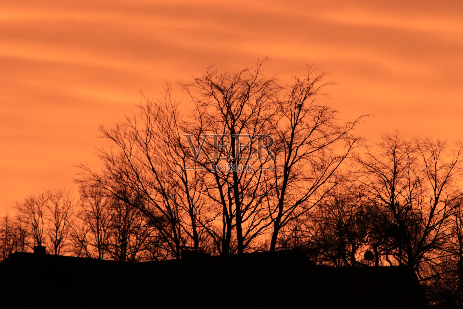 橙色的天空照片摄影图片