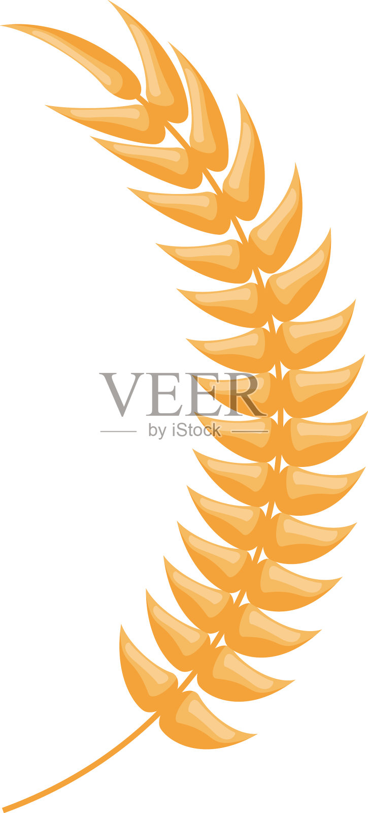 金色的大麦飙升插画图片素材