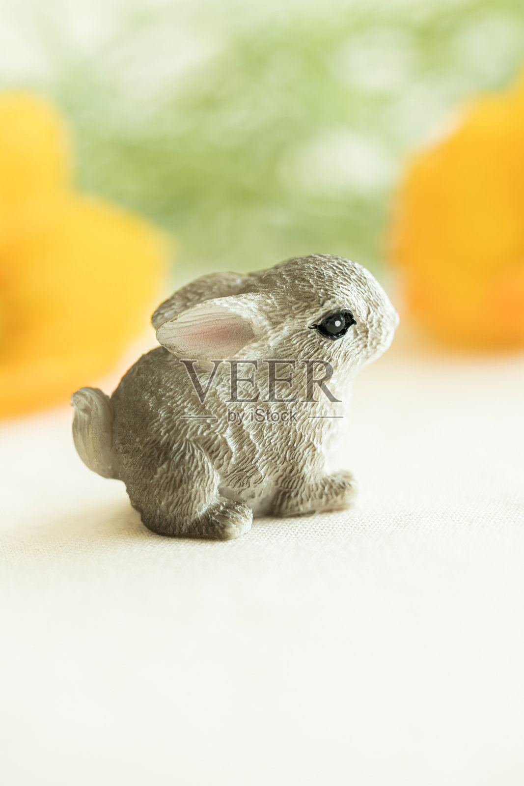 可爱的兔子卡片照片摄影图片