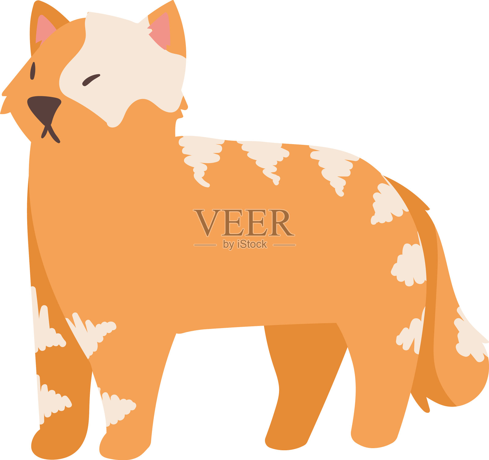 白橙相间的猫插画图片素材