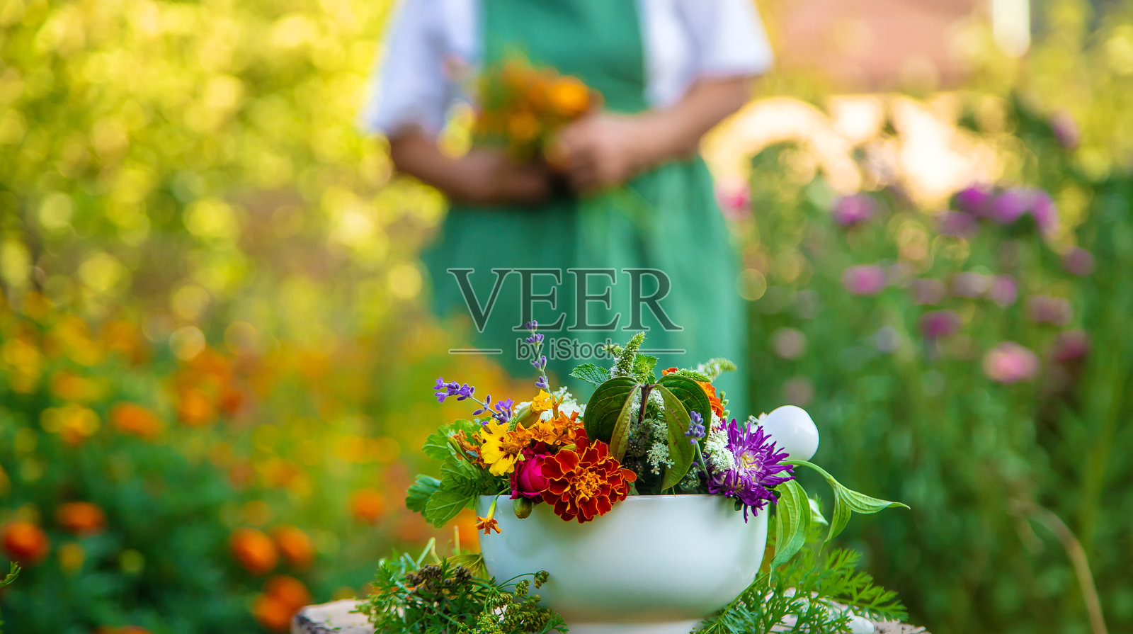 这个女人收集草药和鲜花。有选择性的重点。照片摄影图片