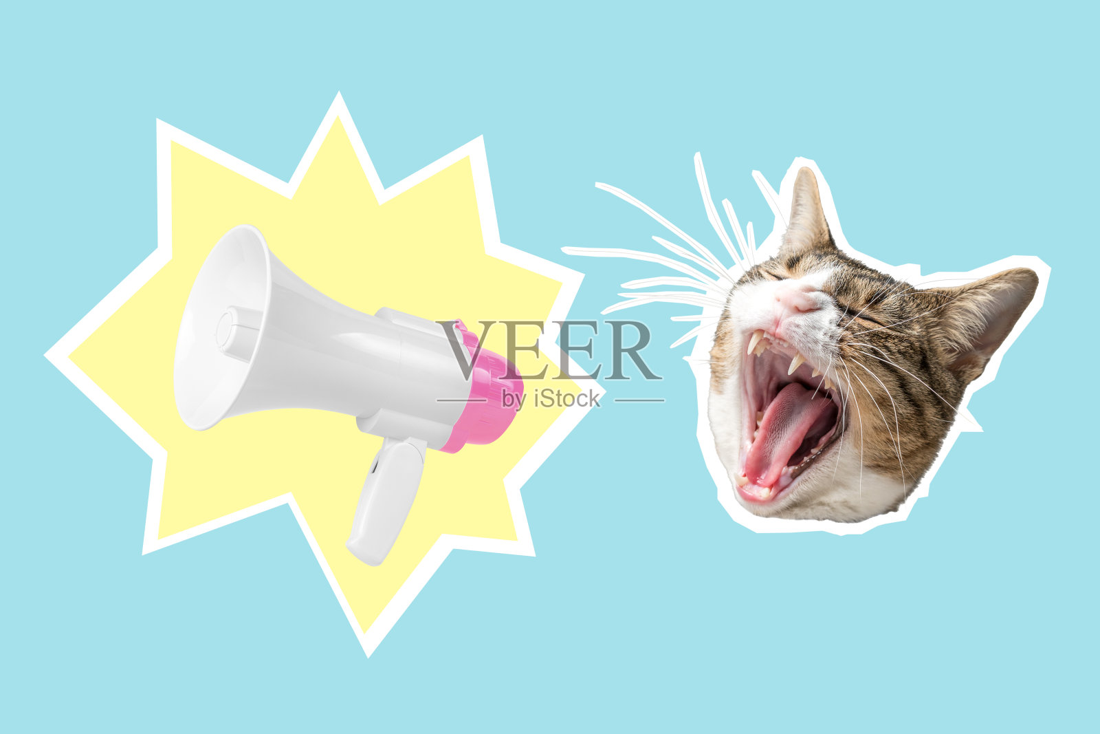 猫头配白粉色扩音器，拼贴波普艺术概念设计。最小的广告背景。照片摄影图片