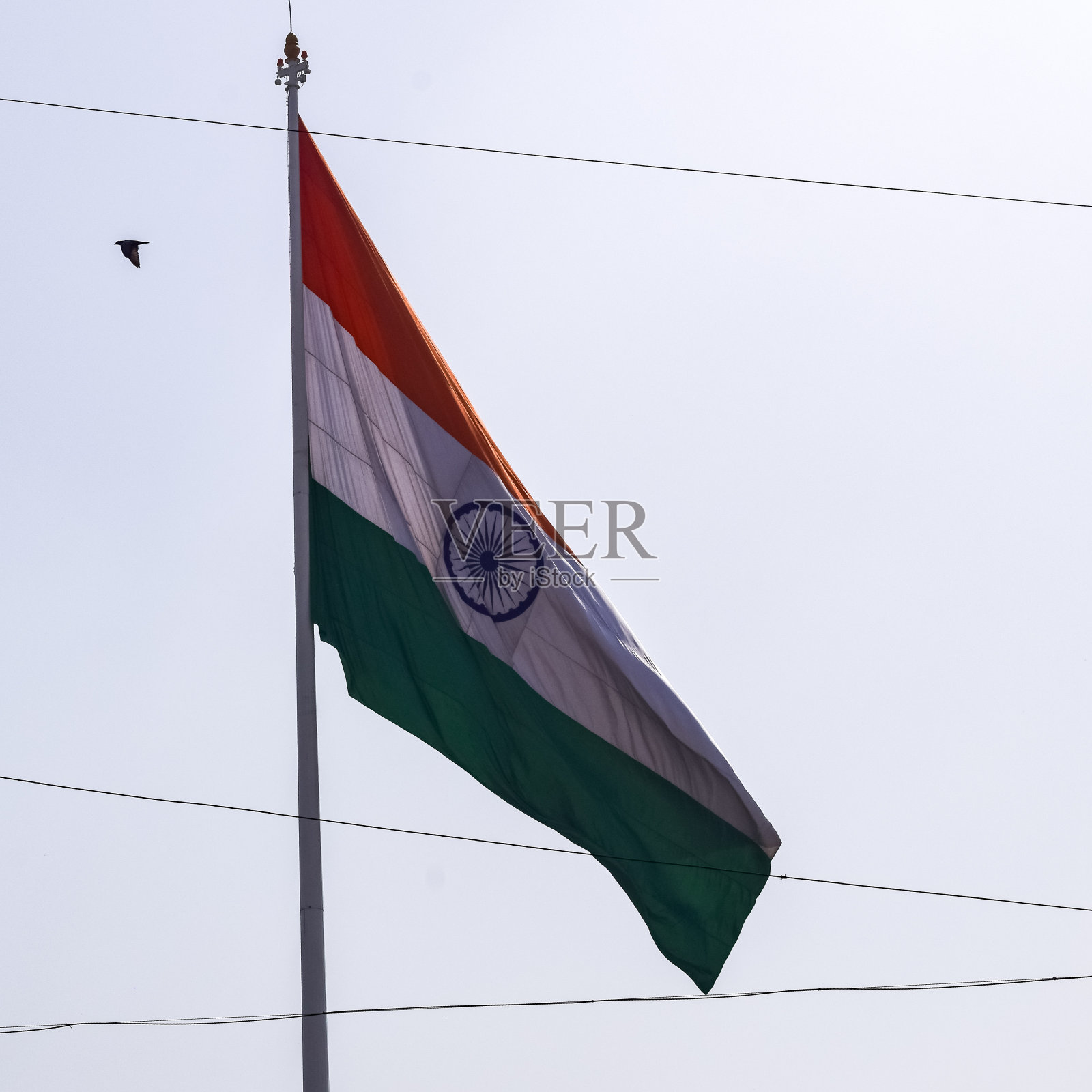 在康诺特广场，印度国旗在蓝天下高高飘扬，印度国旗迎风飘扬，印度国旗在独立日和印度共和国日，倾斜拍摄，挥舞着印度国旗，飘扬着印度国旗照片摄影图片