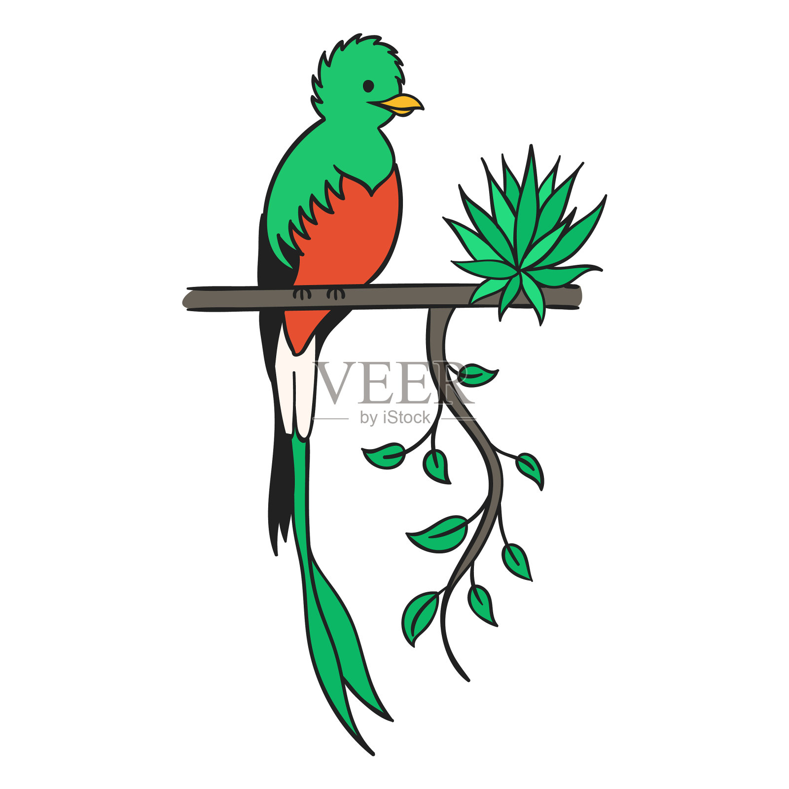 绿咬鹃危地马拉平设计元素图片