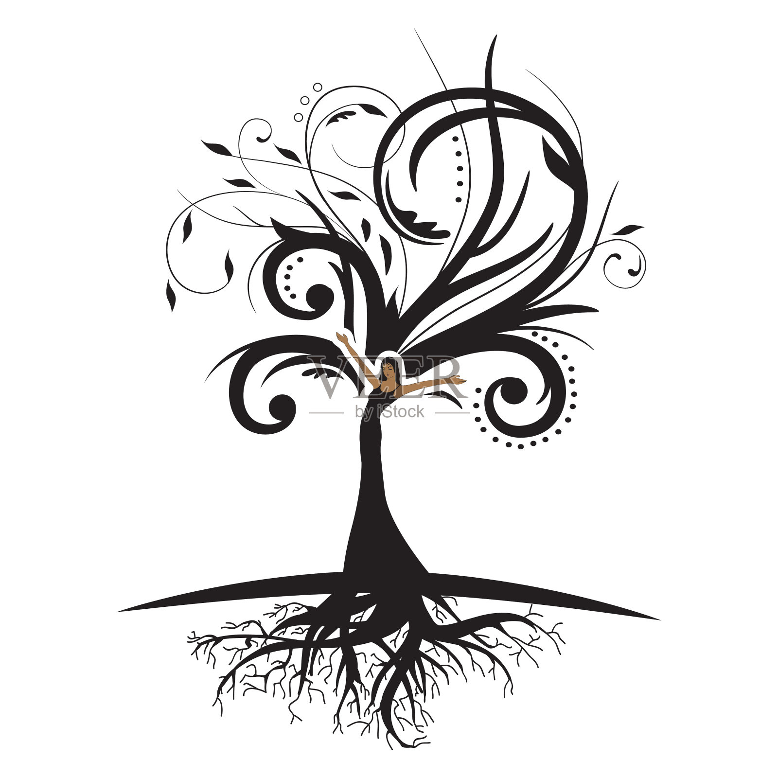 夫人树插画图片素材