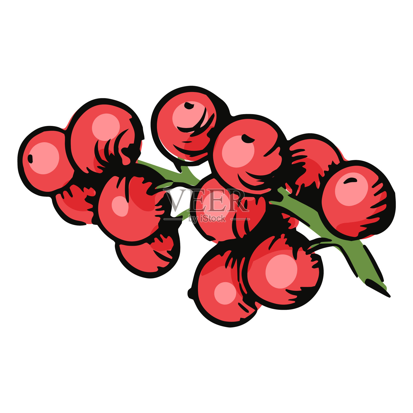 槲寄生浆果槲寄生设计元素图片