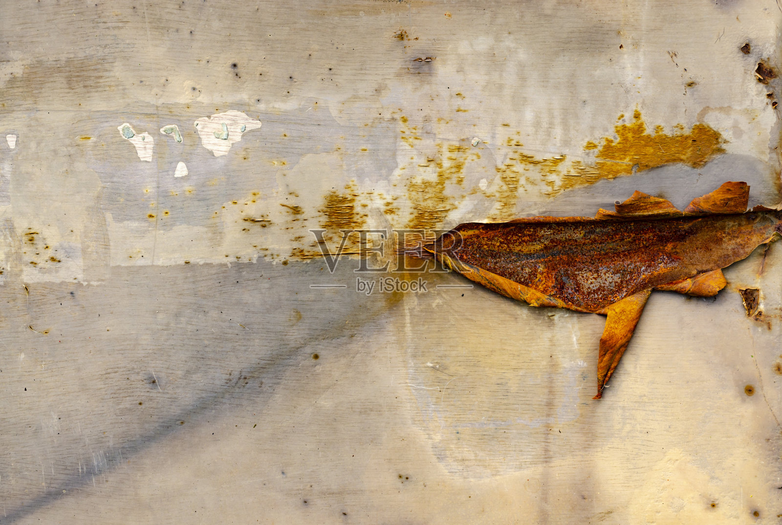 生锈的老铁表面脏棕色与光点缀，金属压纹背景老化和暴露在潮湿和时间照片摄影图片