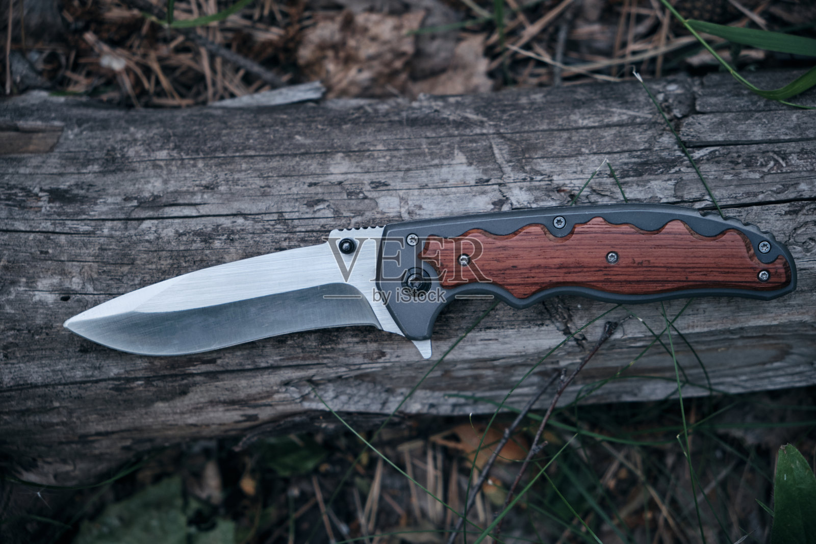 战刀生存保护条件艰苦，躺在森林的树干上。照片摄影图片