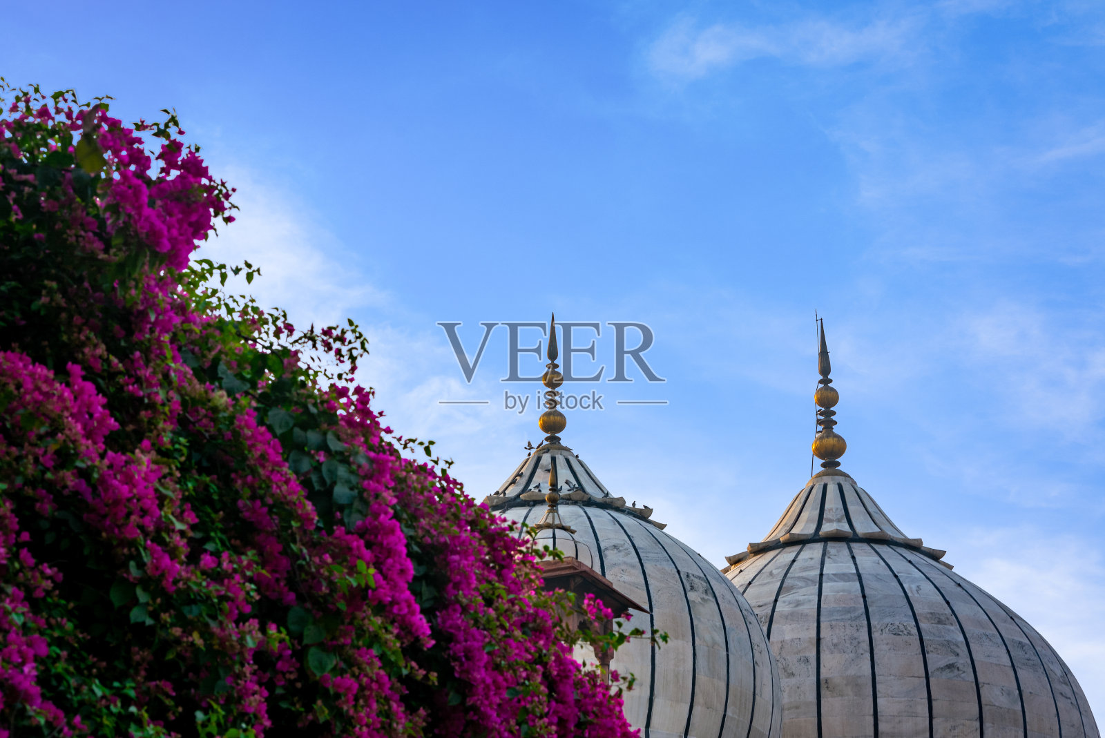 贾玛清真寺照片摄影图片