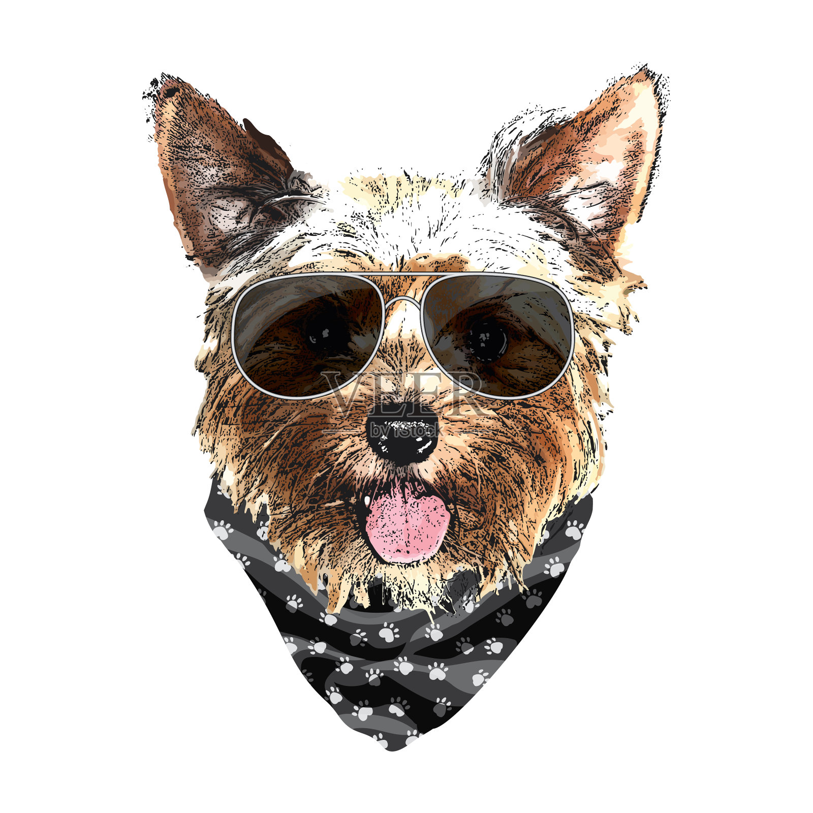 约克郡梗肖像可爱酷狗在设计元素图片