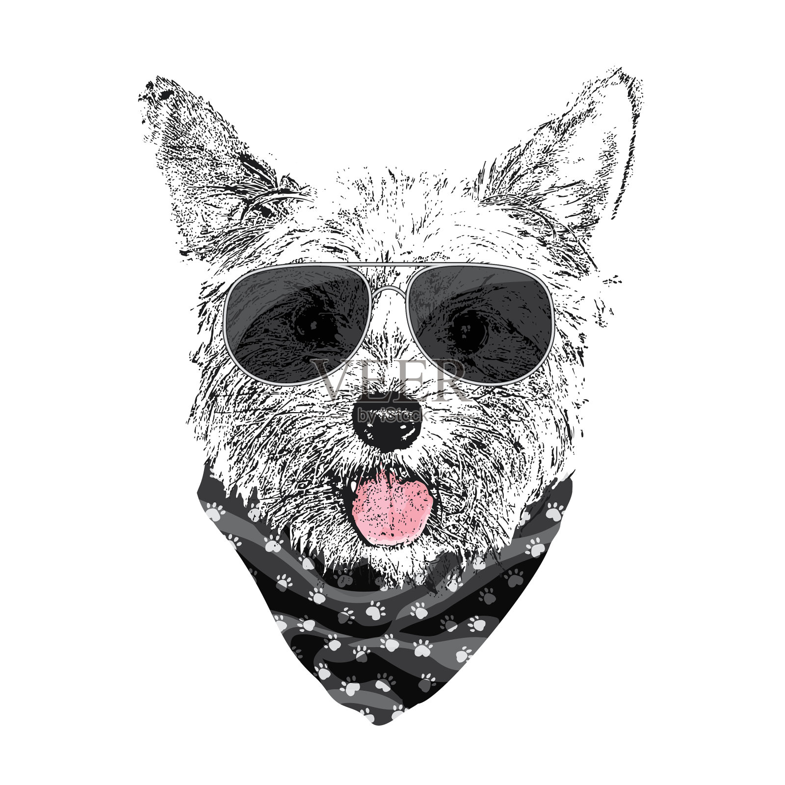 约克郡梗肖像可爱酷狗在设计元素图片