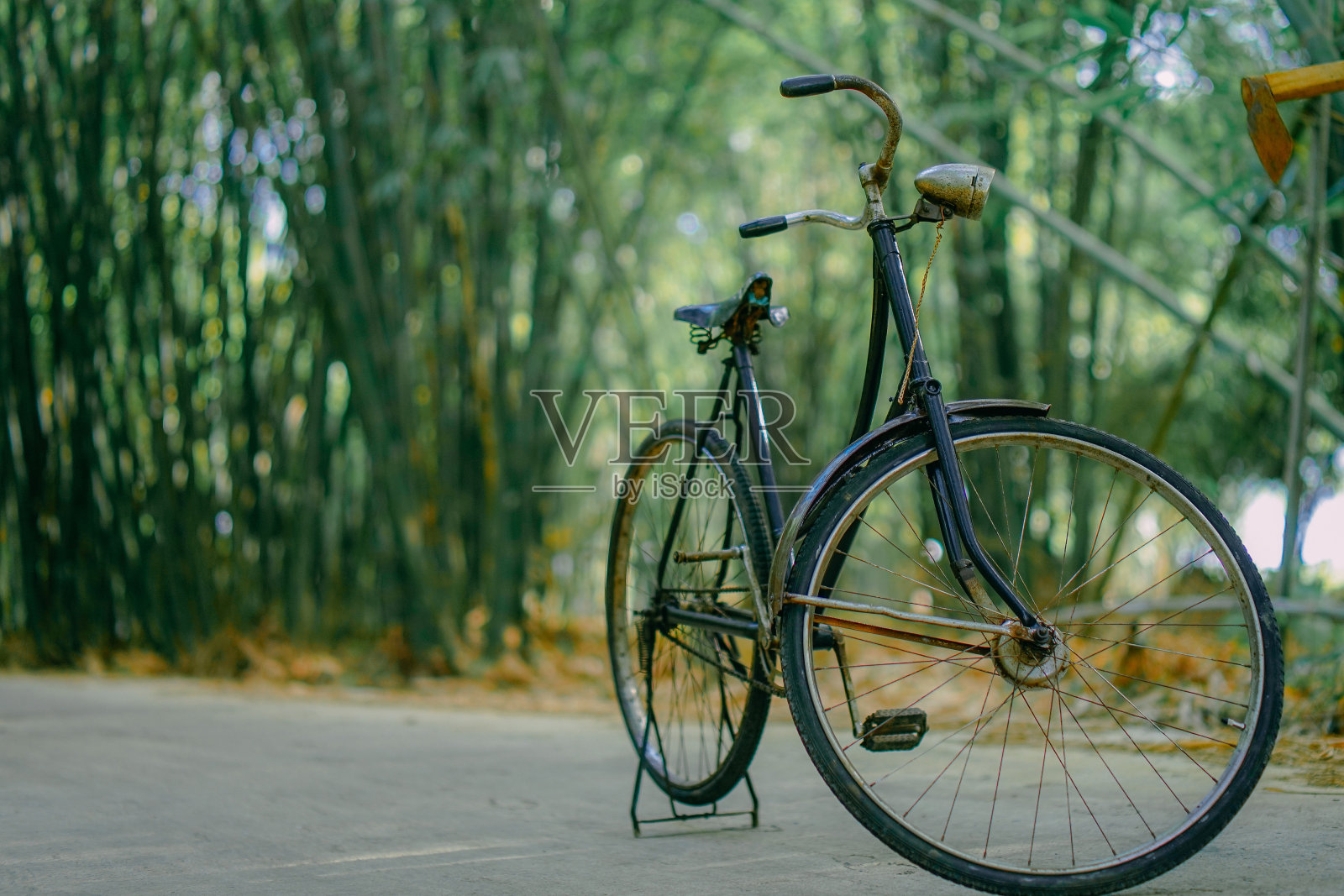 老七星自行车照片摄影图片