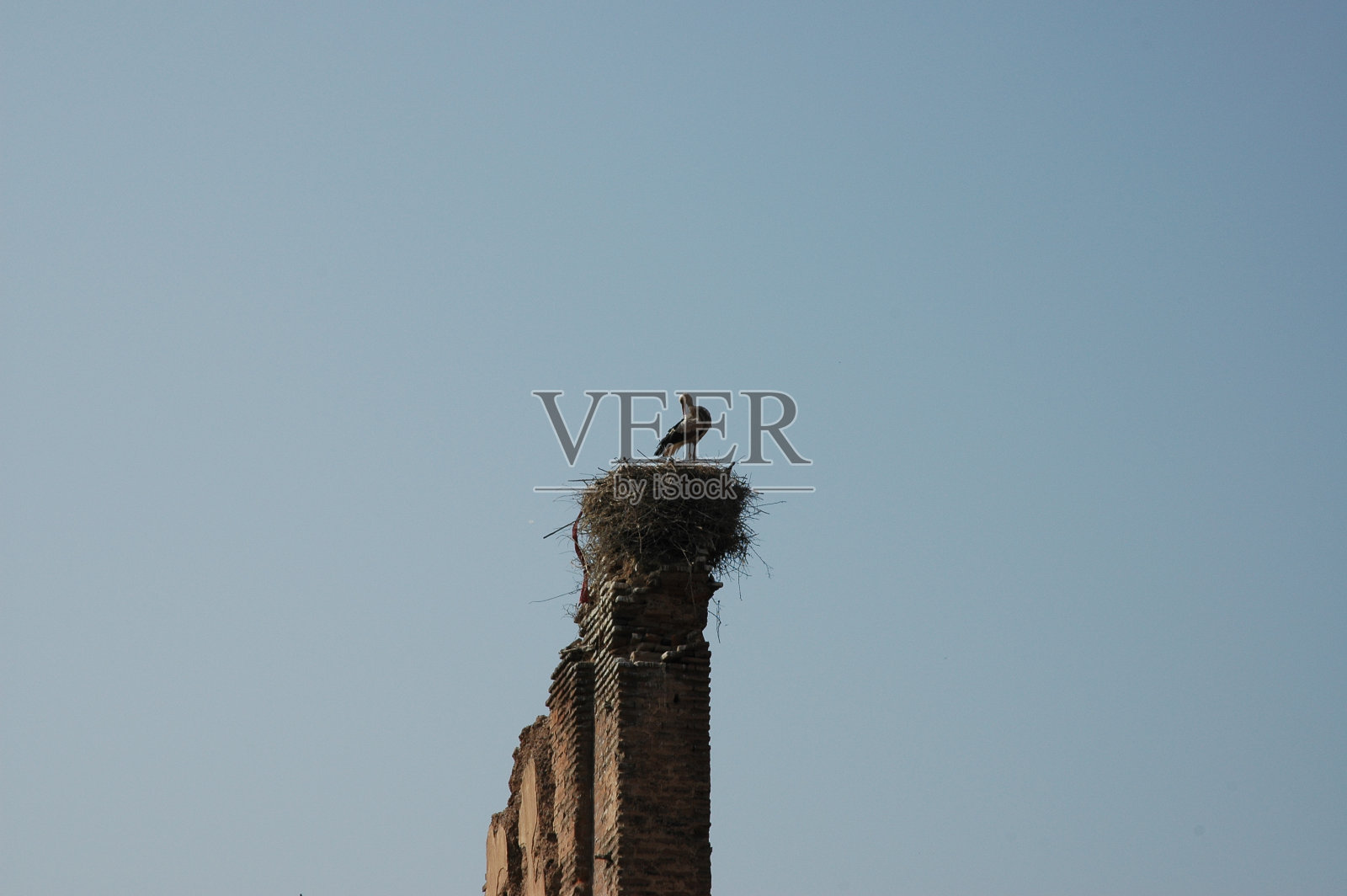 马拉喀什屋顶上的鹳照片摄影图片