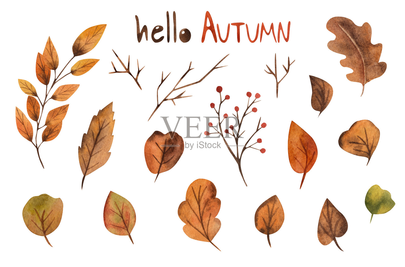 秋叶之静美。水彩插图插画图片素材
