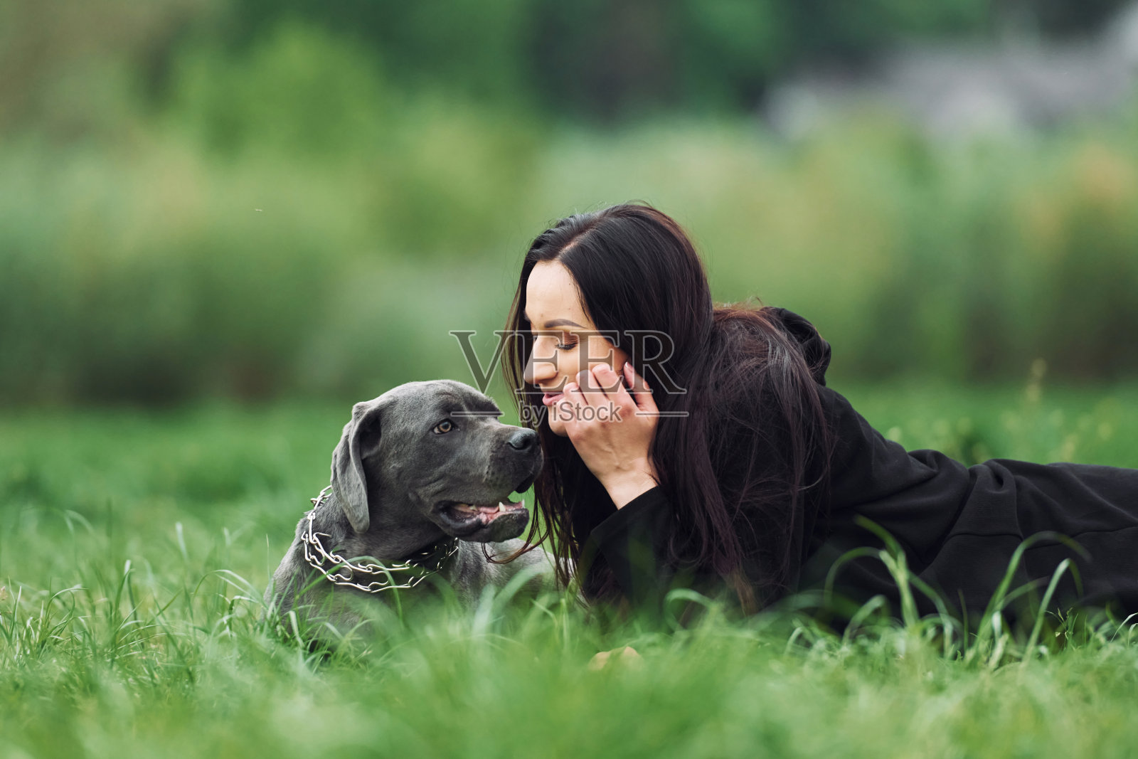 躺在草地上。年轻的黑发女郎正在户外遛狗照片摄影图片
