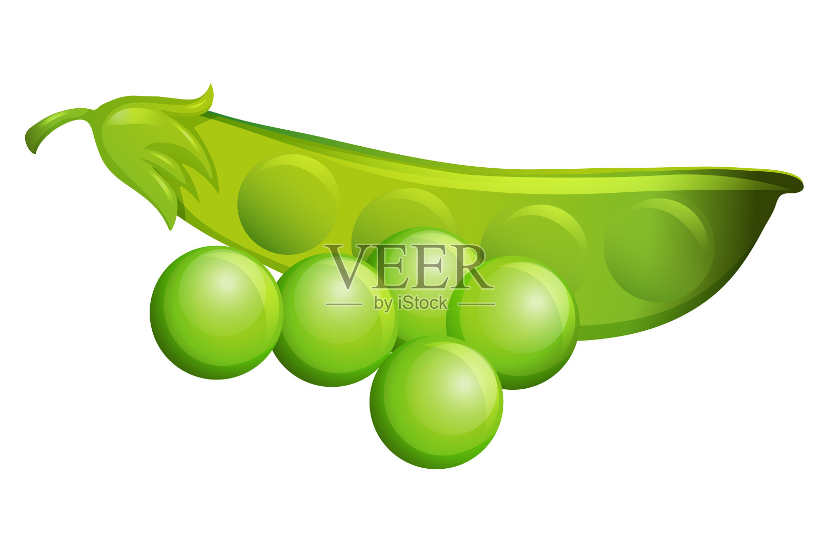 绿豌豆。豌豆荚的末端。矢量图像。在白色背景上隔离。包装设计元素。设计元素图片