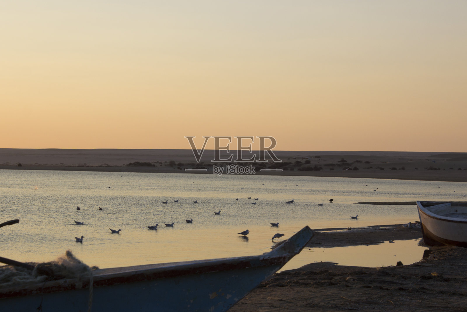 日落时分的埃及法尤姆魔湖飞鸟照片摄影图片