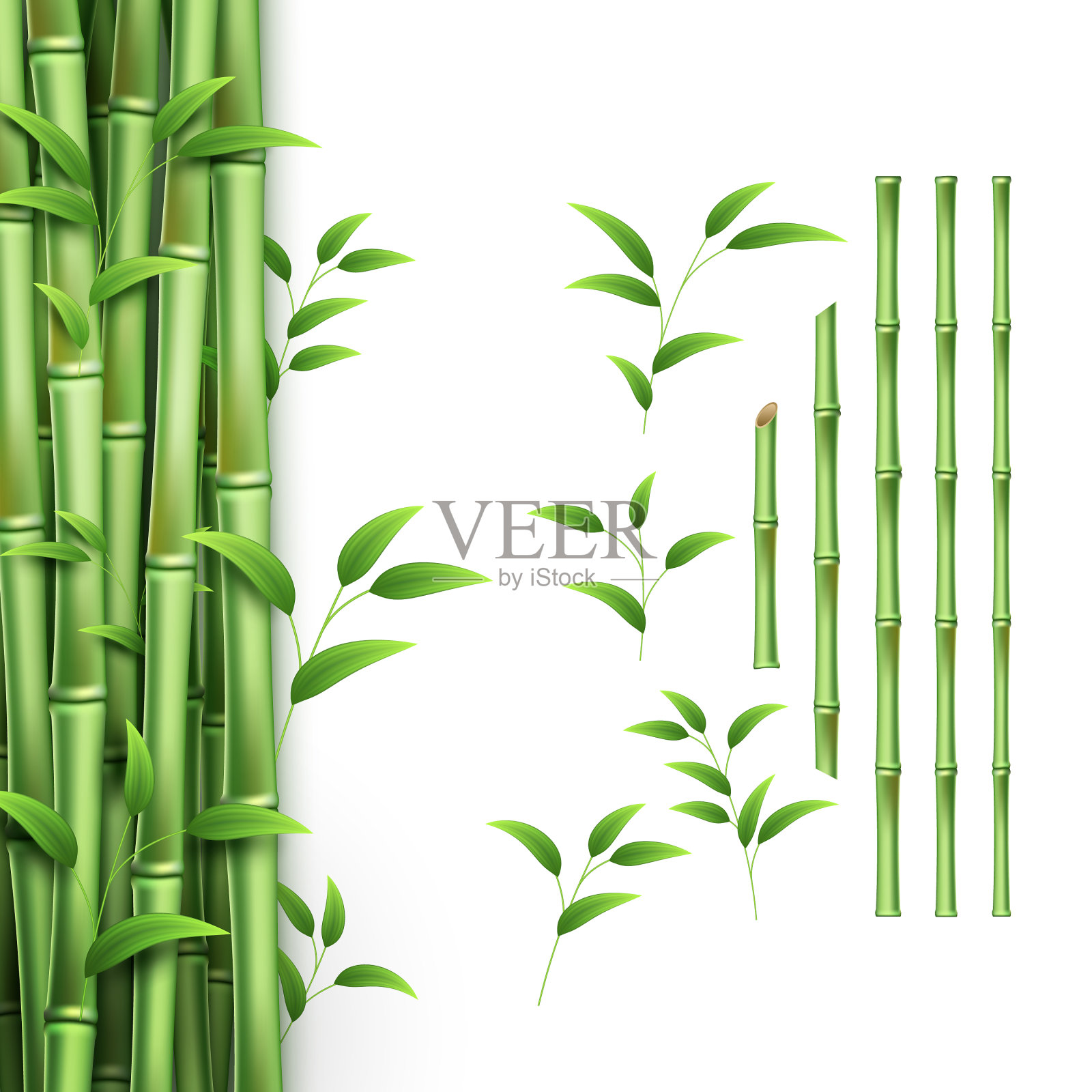 逼真的竹竿绿色的树枝和树枝设计元素图片
