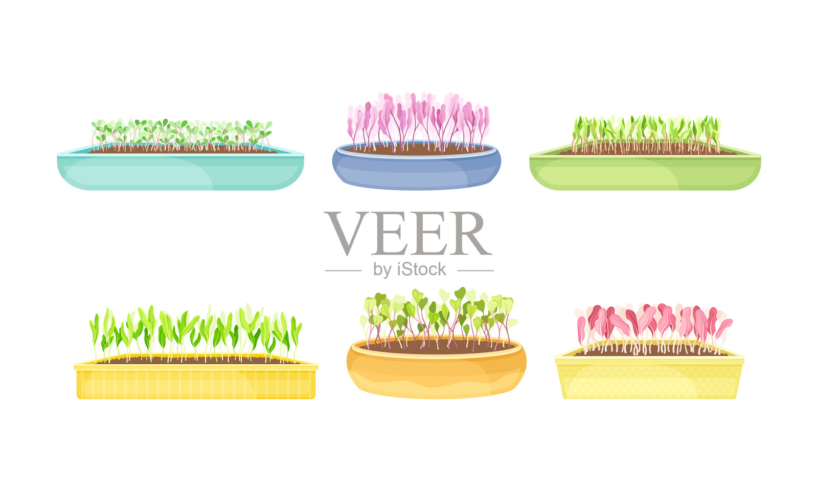在塑料中生长的微绿色蔬菜设计元素图片