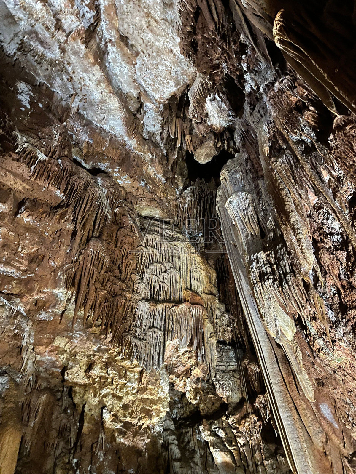 哈马格罗塔巴雷丁附近波雷奇照片摄影图片