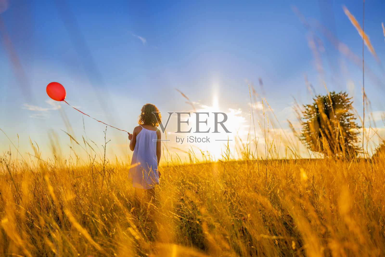 站在草地上玩气球的女孩的后视图照片摄影图片