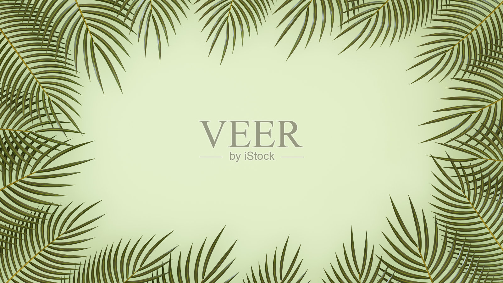 绿色背景上的绿色棕榈树，3D渲染。照片摄影图片