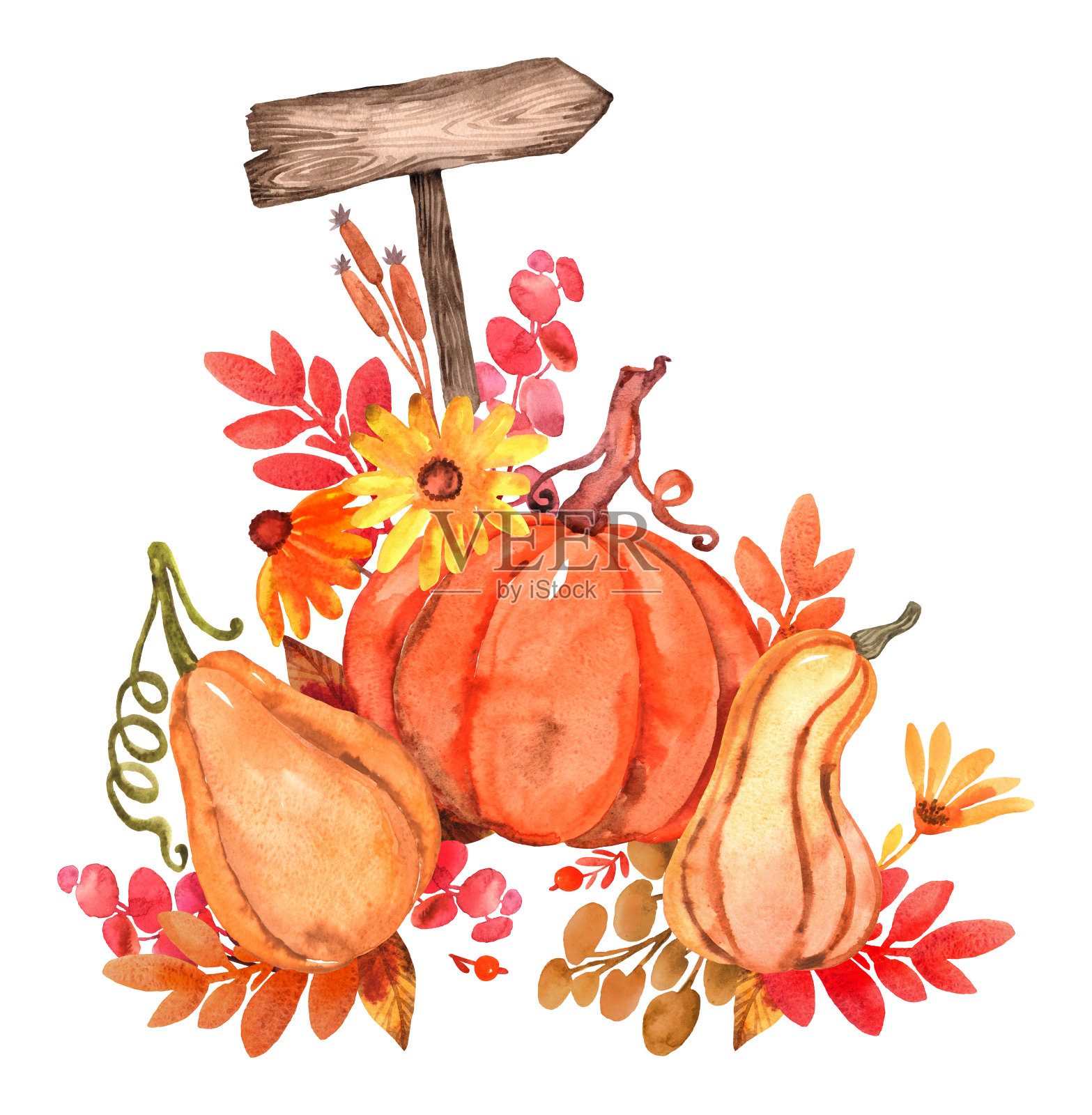 水彩插图。插画图片素材