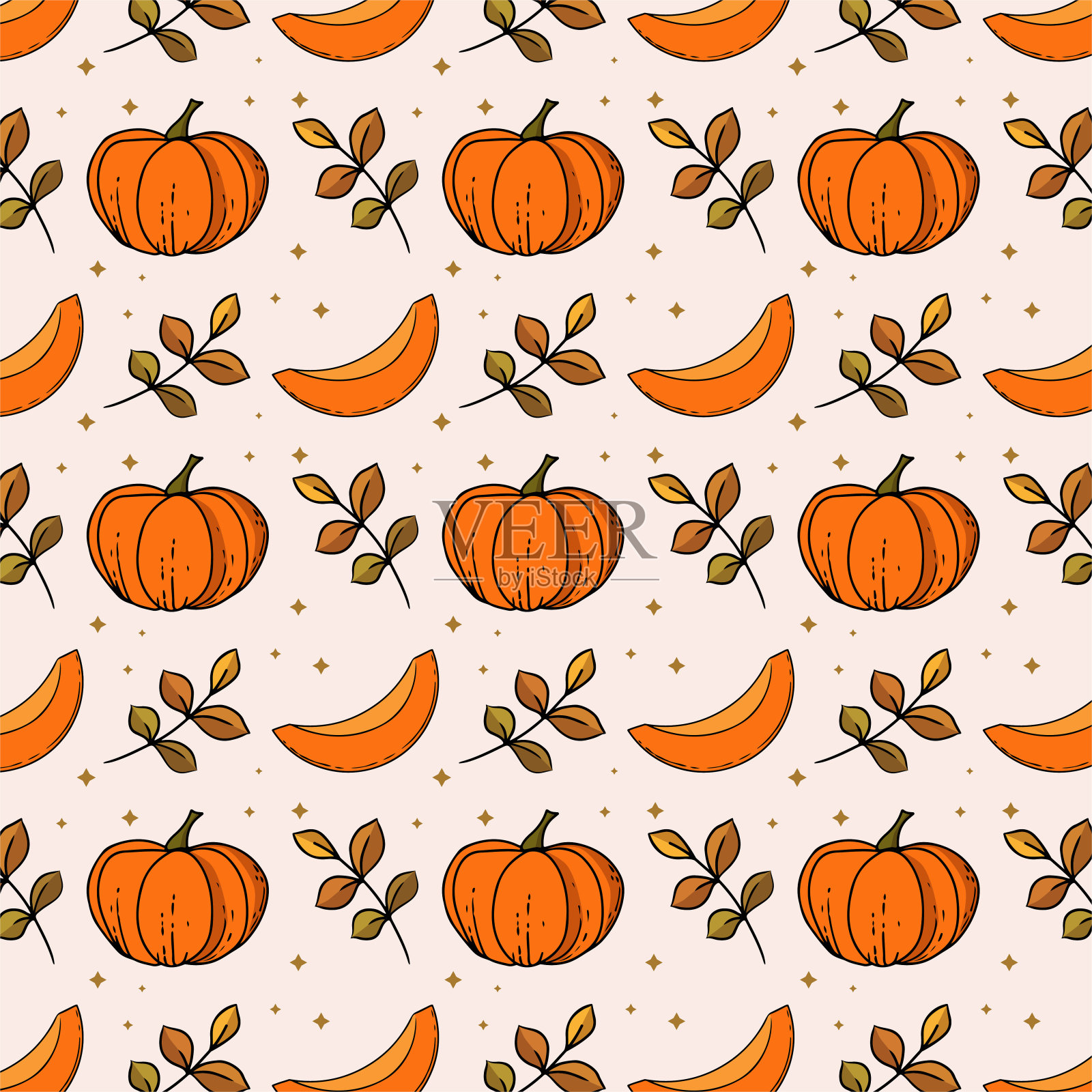秋纹南瓜叶和南瓜片插画图片素材