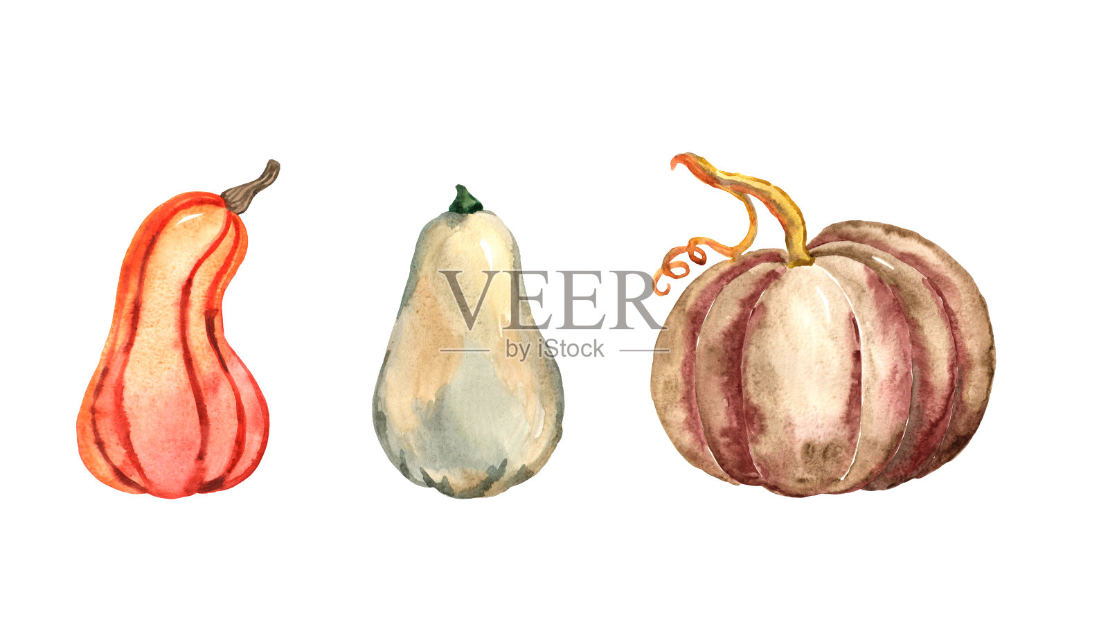 水彩插图。插画图片素材