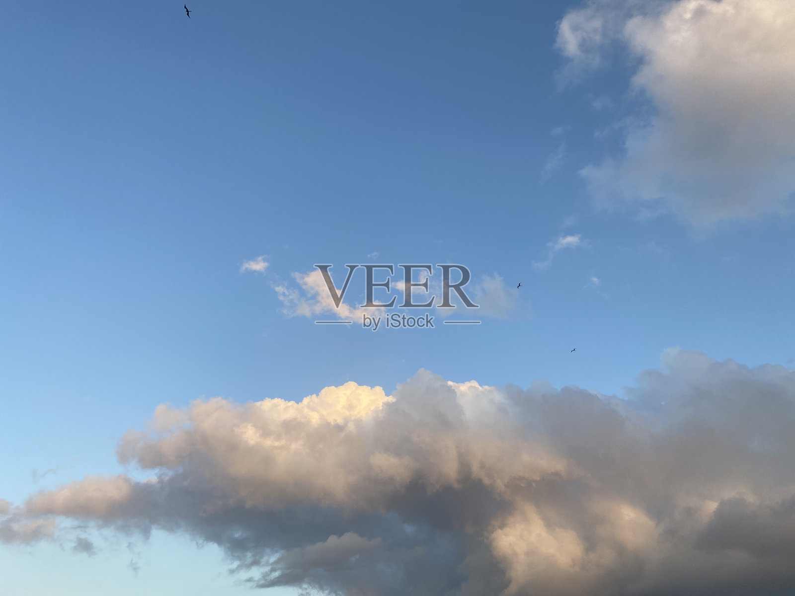 从泳池里看天空照片摄影图片