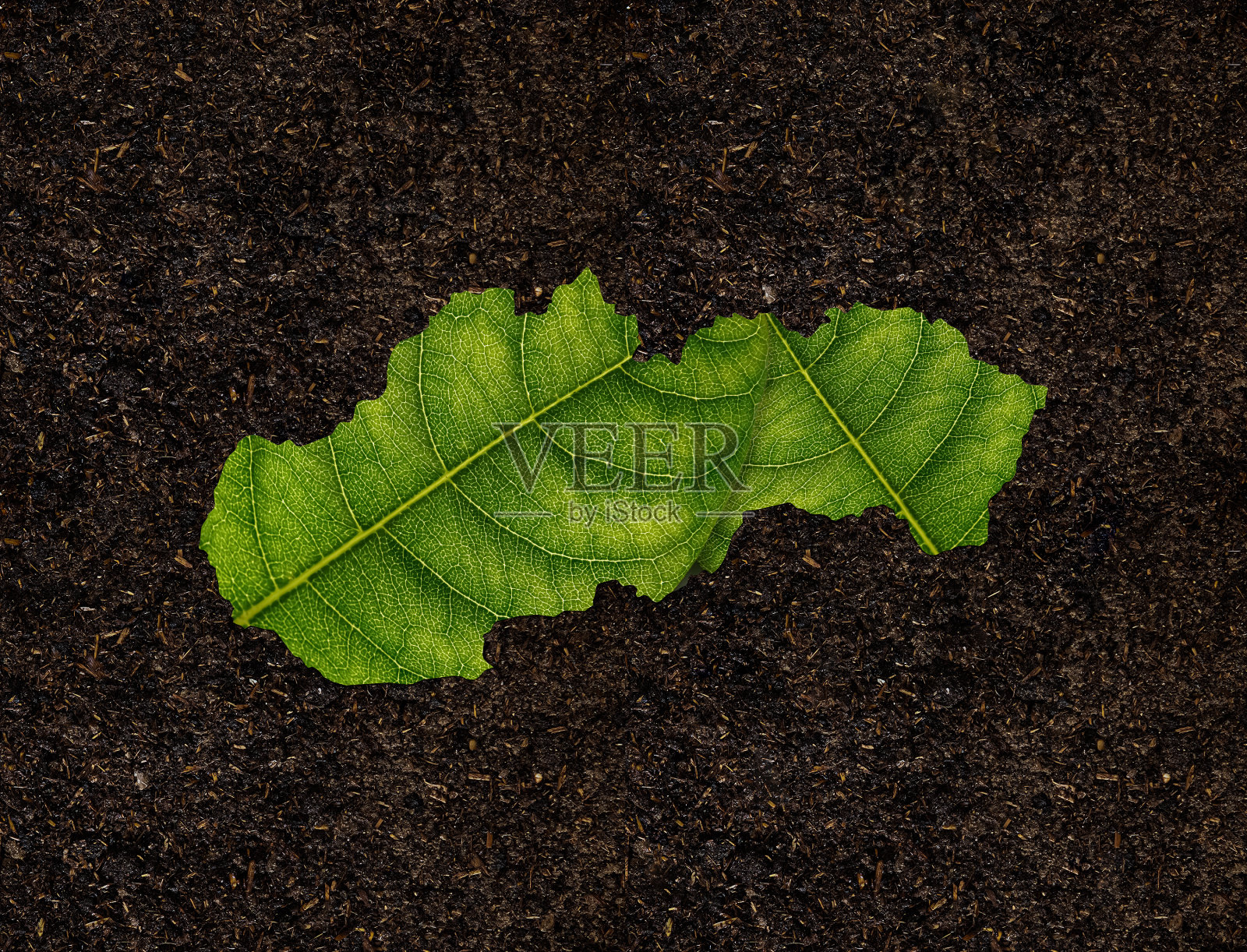 斯洛伐克地图由绿叶对土壤背景的生态概念构成照片摄影图片