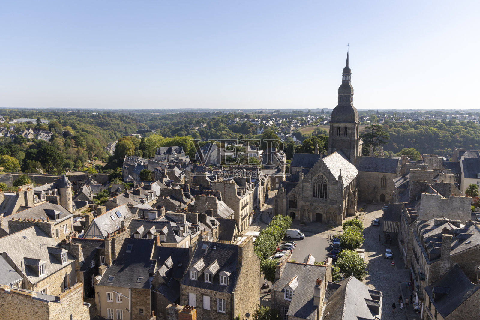 蓖麻照片摄影图片