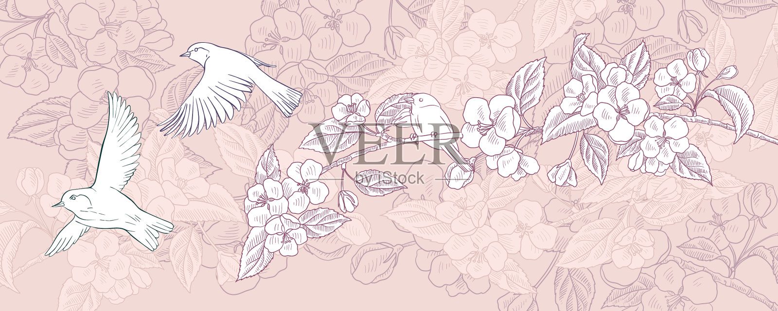 用鸟类绘制自然背景插画图片素材