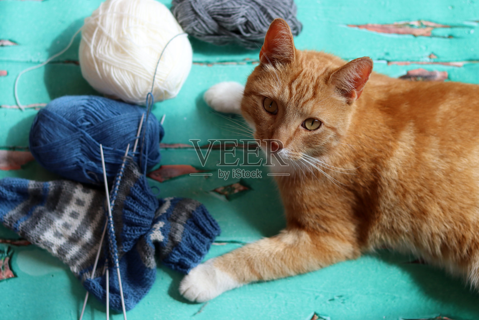 针织短袜照片摄影图片