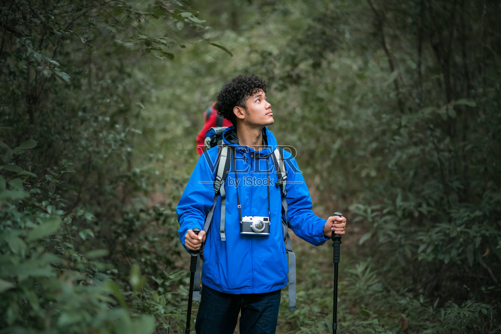两个年轻的亚洲男性背包客徒步旅行，研究热带森林的自然生态旅游。游客徒步旅行去泰国欣赏热带森林之美。照片摄影图片