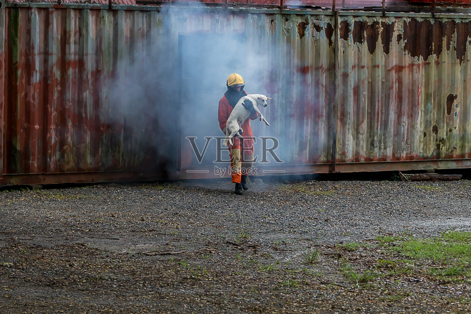 消防队员在大火和烟雾中救狗。救援队或消防员从火灾中拯救生命的狗。消防队员或紧急救援队从火灾中营救救生犬照片摄影图片