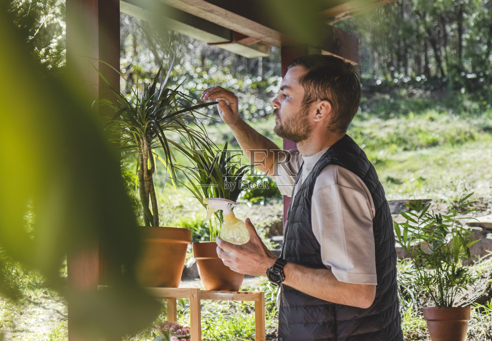 一个成年男人照顾室内植物。照片摄影图片