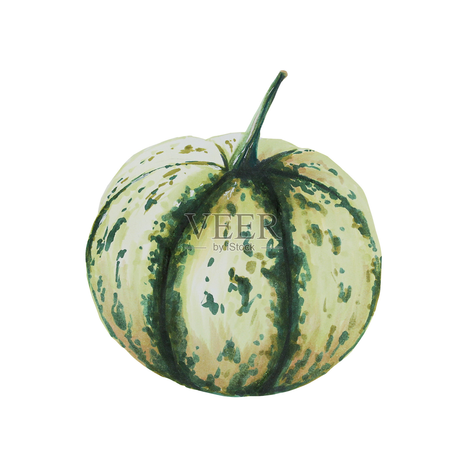 秋季水彩孤立插图插画图片素材