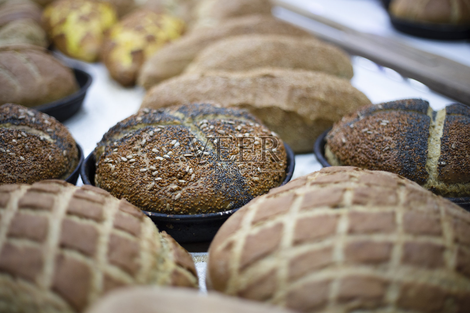 面包工厂的新鲜面包照片摄影图片